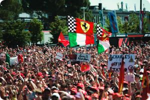 Fans