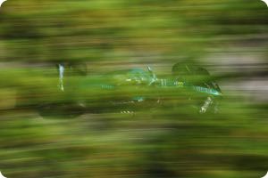 Lance Stroll